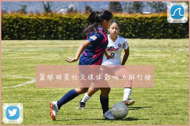 篮球明星社交媒体影响力排行榜